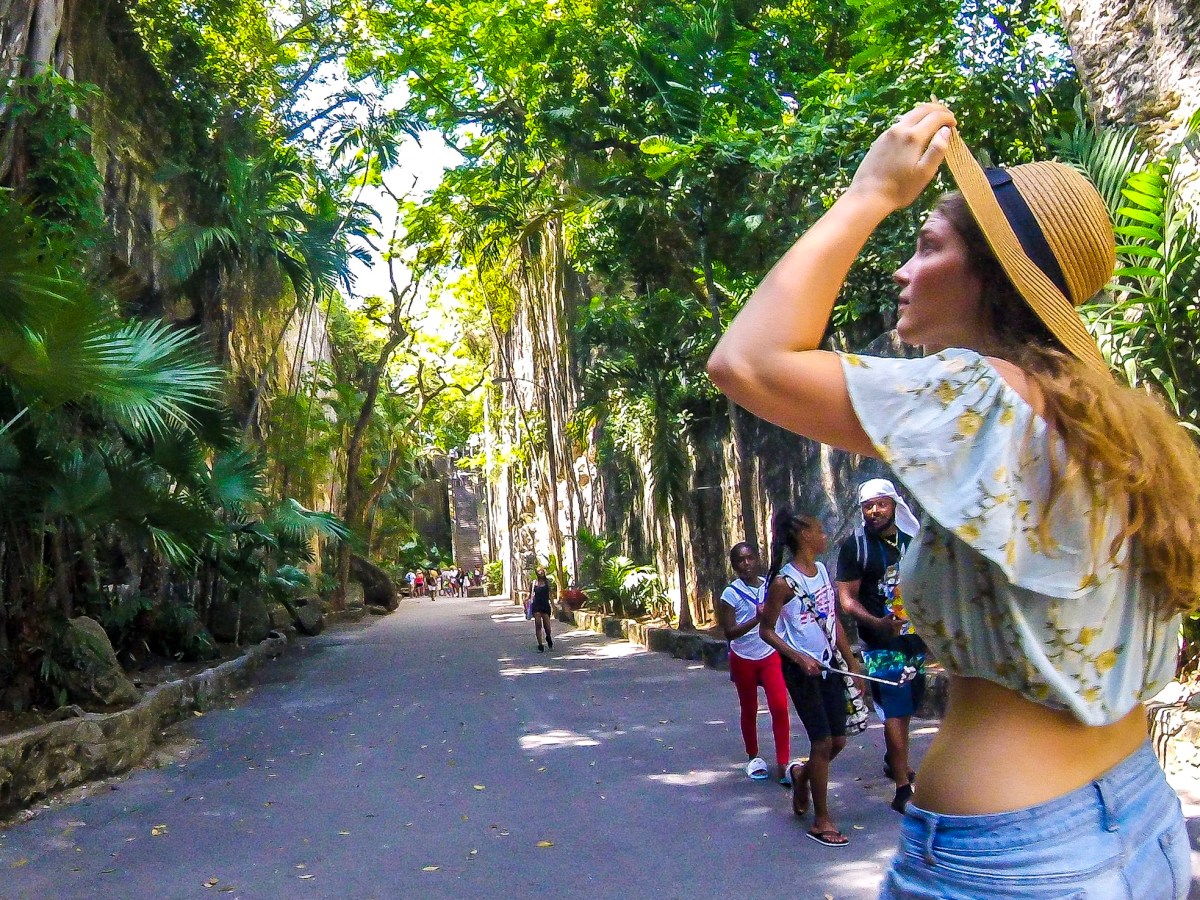 Welcome to Wet My&nbsp;Plants!